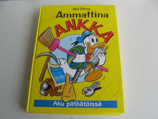 AMMATTINA ANKKA V. 2000