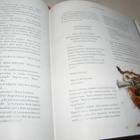 J. K. Rowling Harry Potter ja viisasten kivi -sid - pikkukuva 2