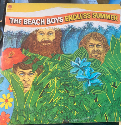 Beach Boys: Endless Summer 2LP + juliste