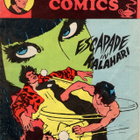 Indrajal Comics Vol.21 No.31 "Escapade in Kalahari" - pikkukuva 1