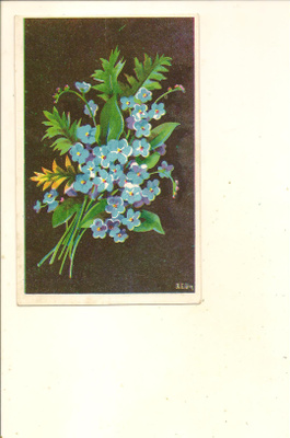 UTTUSLIEN ,,,, KUKKAPUSKA