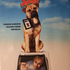 SPOT DVD - pikkukuva 1