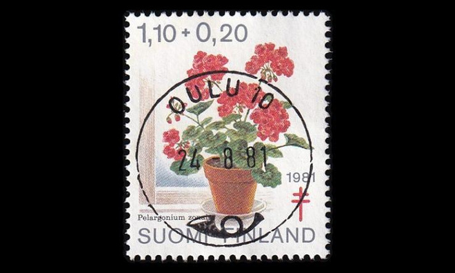 885 o Tuberkuloosi loisto Oulu 24.8.81 (1981)