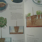  Puutarhakirja Gardening with containers – ruukku viljely - pikkukuva 5