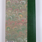 Capucine Beaupre : Herbier des fleurs des champs - pikkukuva 2