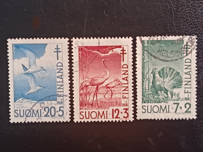 TUB-51 Lintuja