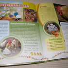 Disney Ankanpoikien maatilakirja - pikkukuva 2