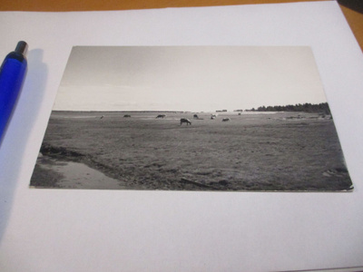 Hailuoto - 1958