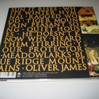 Fleet Foxes - Fleet Foxes (CD) - pikkukuva 2