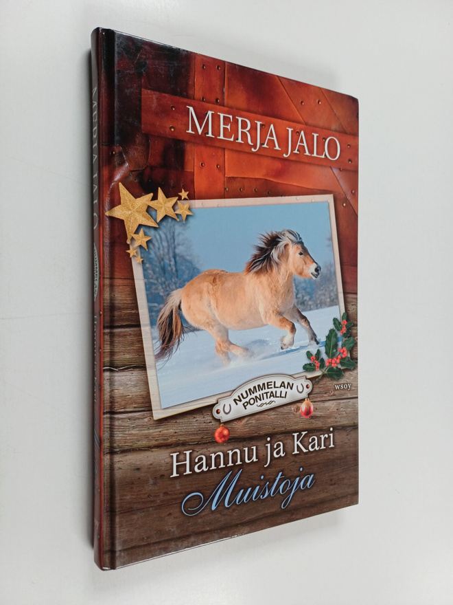 Merja Jalo : Hannu ja Kari : muistoja