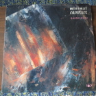 Minimal Compact: Raging Souls LP - pikkukuva 1