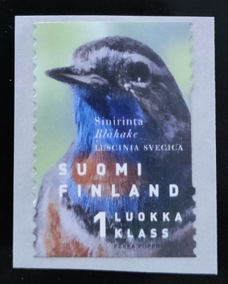 1999 Sinirinta 1 lk **