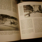 ÄLYLÄSTÄ TYHMÄLÄN TORILLE  ( 1 p. 1984 ) Sis.pk:t - pikkukuva 2
