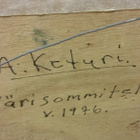 Alpo Keturi "Värisommitelma" - pikkukuva 2
