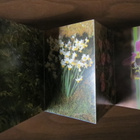 Flowers of Israel -postikorttivihko - pikkukuva 1