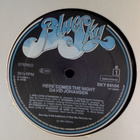 DAVID JOHANSEN :: HERE COMES THE NIGHT :: VINYYLI LP 1981 - pikkukuva 3