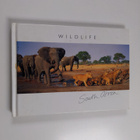 Wildlife of South Africa - pikkukuva 1