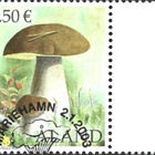 Åland 2003 Sieniä 0,50 € välilöpari numero EPL LaPe 215 - pikkukuva 1