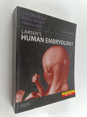 Larsen's human embryology
