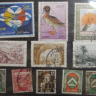 Aden, Algeria ym. - pikkukuva 3
