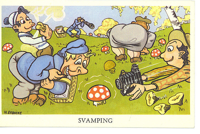 H. EKBACKE : SVAMPING. Sienien keruu.