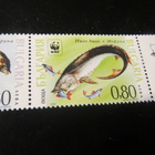 Bulgaria 2004: eurooppalainen sampi rivilö - pikkukuva 5