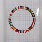 The New International Webster's Pocket Spelling Dictionar... - pikkukuva 2