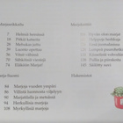 Mansikkaheinä - lasten oma marjakirja (sid.) - pikkukuva 2