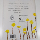 Maija Paavilainen : Siili ja soiton salaisuus (signeeratt... - pikkukuva 2