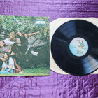 THE INCREDIBLE STRING BAND - CHANGING HORSES - pikkukuva 1