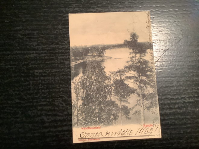 Kuopio Wäinölänniemeltä -02