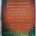 Erin Hunter - Soturikissat: Villiin luontoon (sid.) - pikkukuva 2
