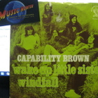 CAPABILITY BROWN - WAKE UP LITTLE SISTER / WIND.. EX-/EX- 7" - pikkukuva 1