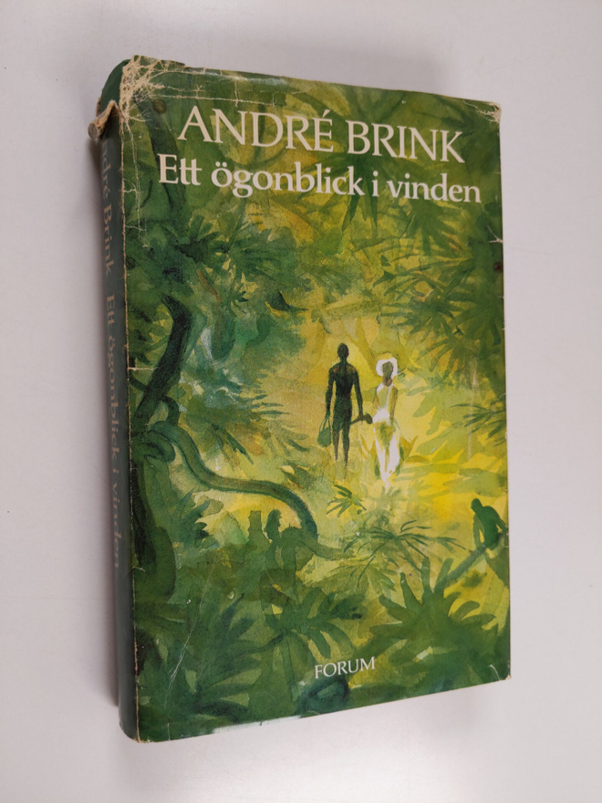 Andre Brink : Ett ögonblick i vinden