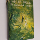 Andre Brink : Ett ögonblick i vinden - pikkukuva 1