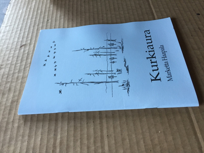 MARKETTA HAAPALA: KURKIAURA HYVÄ
