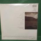 TANITA TIKARAM - ANCIENT HEART M-/M- SAKSA 1988 LP + NIMMARI - pikkukuva 2
