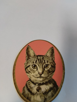 Kissa tarra.