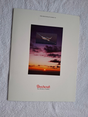 BEECHCRAFT BARON 58 Esite