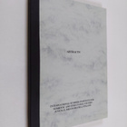 Abstracts : International summer institute for semiotic a... - pikkukuva 1