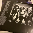 Armored Saint - Raising Fear (LP) - pikkukuva 3