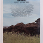 Mark Carwardine : Iceland : nature's meeting place : a wi... - pikkukuva 2