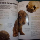 David Alderton: Koirakieltä (1.p.2012) Sis.postikulut - pikkukuva 4