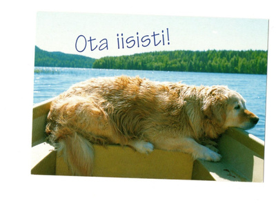 "°OTA IISISTI!°" -KORTTI / (Koira veneessä)