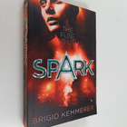 Brigid Kemmerer : Spark - pikkukuva 1