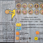 Lapinlahden linnut: Ehkä kaikki (1988-2006) 7DVD + CD - pikkukuva 3