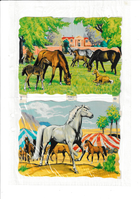 MLP 1533