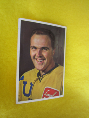 SEPPO VAINIO - RAUMAN LUKKO - HELLAS JENKKI 60 LUKUA