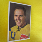 SEPPO VAINIO - RAUMAN LUKKO - HELLAS JENKKI 60 LUKUA - pikkukuva 1