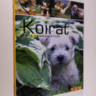Barbara Willms : Koirat : rodut, koulutus ja hoito - pikkukuva 1